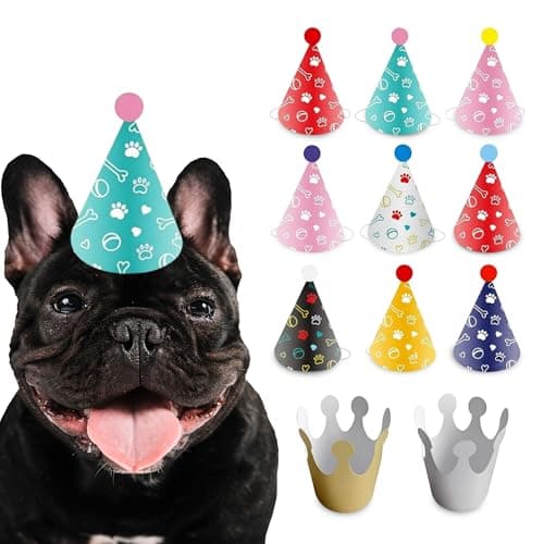 Dog Birthday Party Hats, 11-Piece Set: 9 Reusable Pet Hats and 2 Crowns with Elastic for Dogs and Cats – Dirty Dog Goods