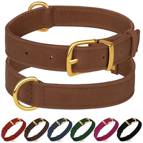 Leather Dog Collar - Heavy Duty Adjustable Soft Padded Pet Collars for Small Medium Large Dogs Breed - Black Green Brown Pink Red Blue (Cognac, XL, 19"-24" Neck Fit)