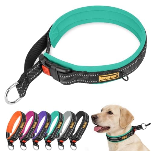 Mayerzon 1.5" Wide Martingale Collar for Small Medium Dogs Precision Fit