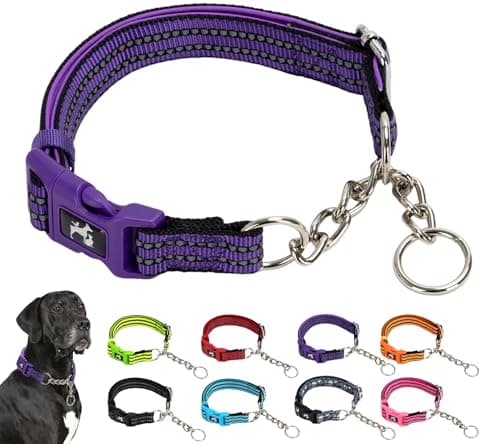 MAOWUWUJOA Martingale Collar for Dogs Reflective Nylon Dog Collar with Quick Release Buckle Adjustable Training No Slip Dog Collars (XL, Purple)