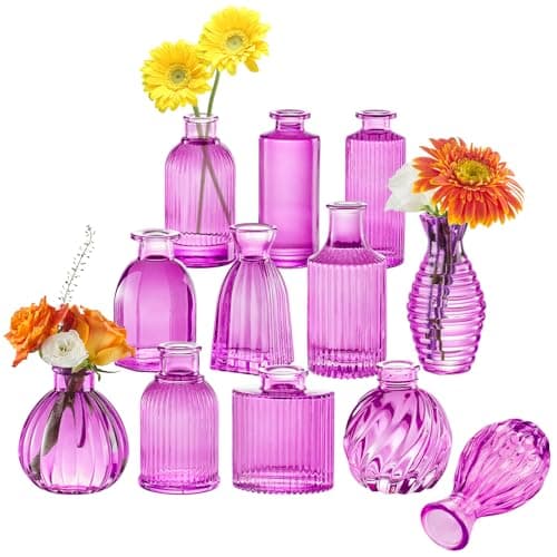 12PCS Hot Pink Vase Small Colored Flower Bud Vases