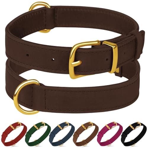 Leather Dog Collar - Heavy Duty Adjustable Soft Padded Pet Collars for Small Medium Large Dogs Breed - Black Green Brown Pink Red Blue (Brown, M, 12"-15" Neck Fit)
