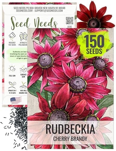 Seed Needs Cherry Brandy Rudbeckia Seeds to Plant Red Flowers 1 Pack