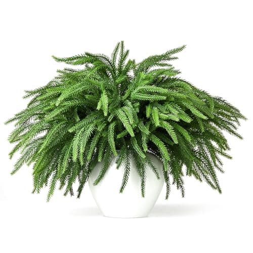 16 Pcs Christmas Norfolk Pine Stems, 19" Real Touch Norfolk Pine Branches