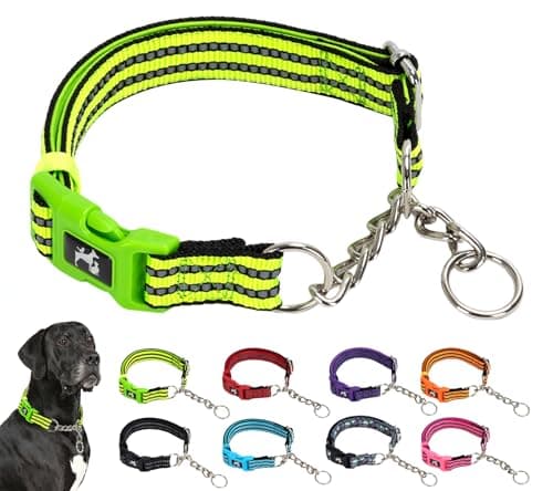 Green Reflective Martingale Dog Collar with Buckle- Night-Safe, Anti-Slip Training Collar Designed for Secure Walks - Medium