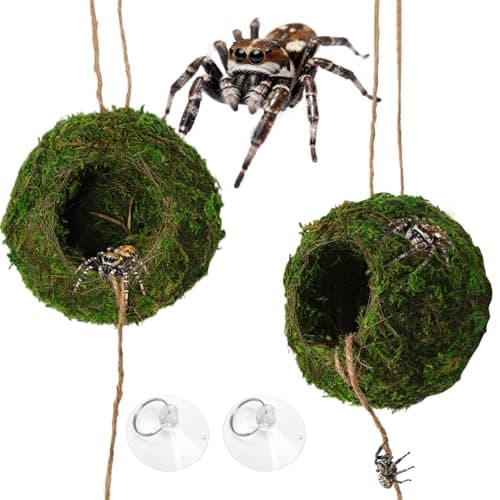 Jumping Spider Moss Cave Hide, Round Green Small Spider Moss Hideout, Jumping Spiders Cave Accessory for Reptile Terrarium
