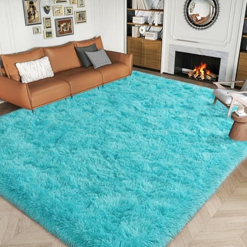 Dssimo Teal Blue Rug for Bedroom Living Room, 4x6 Soft Shag Teal Area Rugs