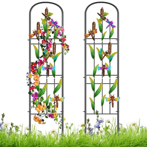 Metal Garden Trellis 2Pcs, Dragonfly Decor Plant Support for Climbing Vines
