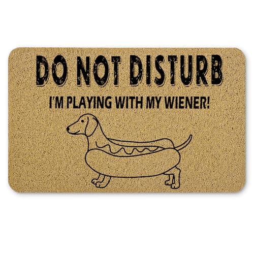 Qnhij Funny Dachshund Door Mat, Weiner Dog Decor Doormat, Dachshund Decor for Home, Weiner Dog Gifts Door Mat, Dachshund Gifts Doormat, 17x30 Inches