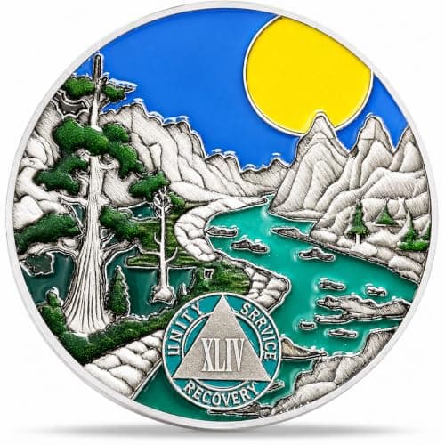 Imasoner 44 Year Sobriety Coin Gifts, River and Forest AA Coin