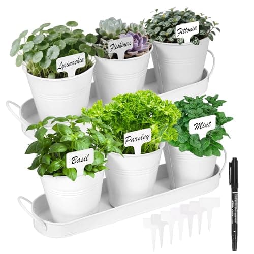 Wacloud Herb Garden Planter Indoor Kit – 6 Metal Pots with 2 Trays for Windowsill & Kitchen Counter – Modern Decorative Indoor Planters for Herbs, Succulents & Small Plants, White