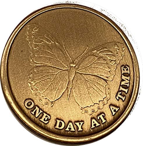 RecoveryChip Butterfly One Day At A Time Serenity Prayer Medallion Chip