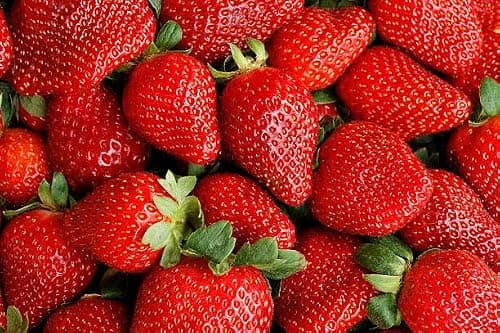 Cream Strawberry Seeds for Planting (Akihime Variety), 2000+ Heirloom Non-GMO Seeds, Super Sweet & Creamy Flavor, Big, Juicy, Sweet Strawberries, Perfect for Home Garden, Fresh Gourmet Eating
