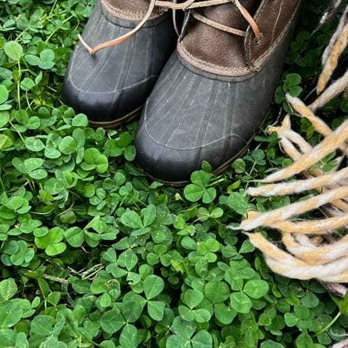Mountain Valley Seed Co Micro Clover Seed for Lawn 1 Oz ~25,000 Microclover
