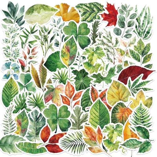 50Pcs Watercolor Leaf Stickers Vinyl Aesthetic Decals for Laptops Skateboards Luggage Helmets Bikes and Phones Teens Adults and Nature Fans