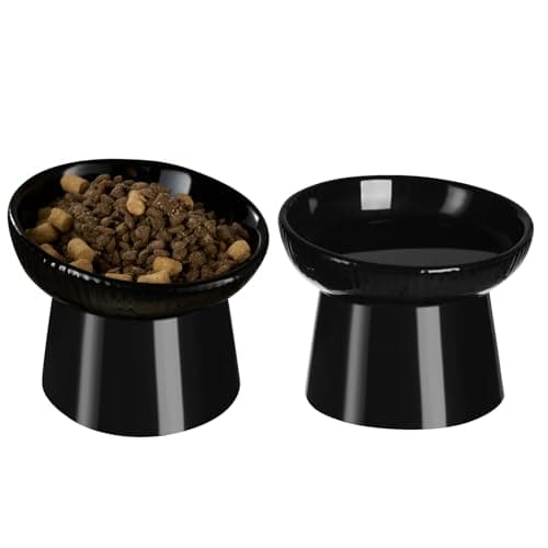 Ceramic Elevated Cat Bowls-Water Bowl, 15° Tilted Design, Anti-Vomiting & Spine Protection, Prevent Whisker Fatigue for Kittens to Adult Cats and Small Dogs (Black-15° Cat Bowls-2)