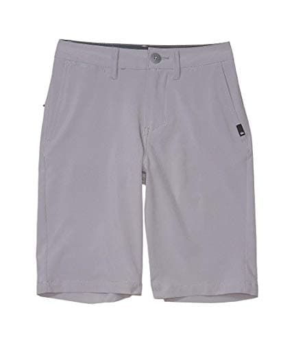 Quiksilver Boys Legacy Union Amphibian Shorts, Sleet, 10 Slim