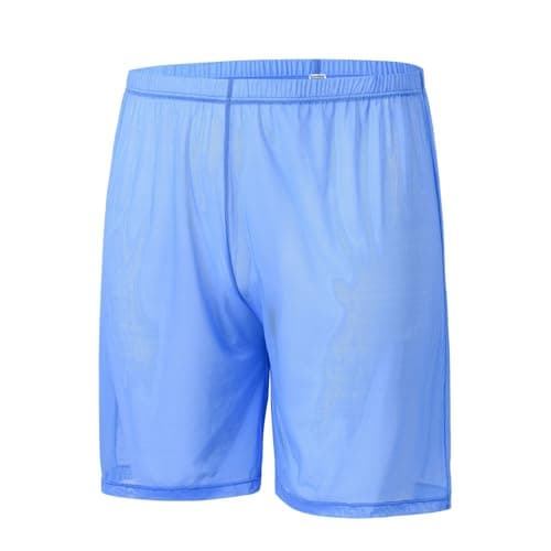 ZAIGGUT Mens Mesh Ice Silk Underwear See Through Sheer Boxers Transparent Breathable Sexy Long Leg Boxer Briefs Blue M