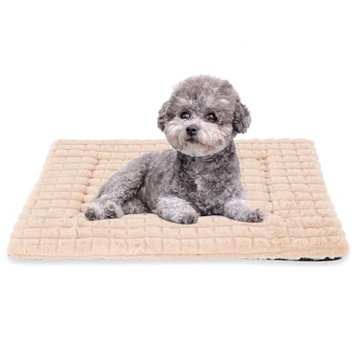 BVAGSS Dog Bed Washable Crate Mattress,Anti-Slip Memory Foam Soft Warm Pet Cushion for Small Medium Dogs, Calming Fluffy Sleeping Kennel Pad XH082 (30''x20'',Apricot)