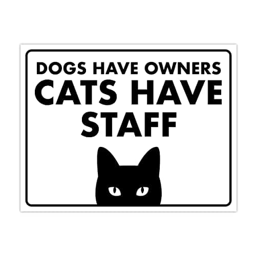 Dogs Have Owners, Cats Have Staff - Funny Cat Sign, Laminated - 8.5" x 11" - Cat Signs for Home Decor, Gift for Cat Lovers - ENVISIONED Signage