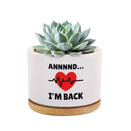 Annnnd…I’m Back Recovery Gifts Heart Surgery Heart Attack Survivor Coronary Artery Patient From Cardiologist Ceramic Succulent Plant Pot with Bamboo Tray Round Home Decor 3.5 Inch White (No Plants)