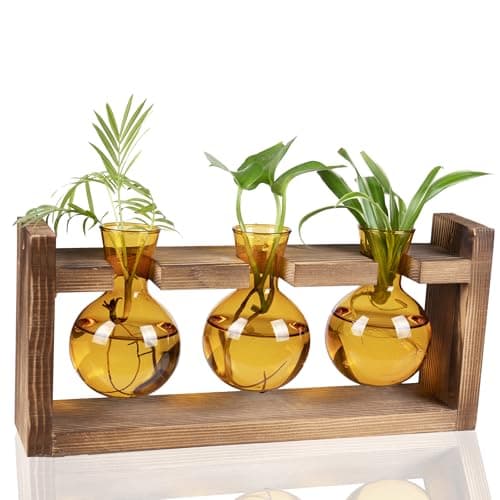 Kingbuy Glass Plant Terrarium Propagation Station - 3 Bulb Colored Vases with Retro Wood Stand Indoor Garden Planter - Wall Mount Desktop Decor for Home Kitchen Wedding, Plant Lover Gift, Amber