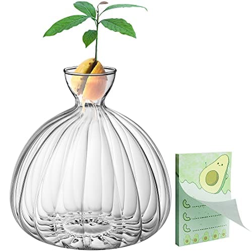 Avocado Seed Starter Vase,Thickened Striped Avocado Seed Sprout Glass Container, Avocado Tree Planting Growing Kit with Avocado Sticker for Plant Gardening Lover (Striped)