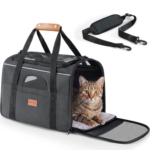Morpilot Airline Approved Cat Carrier, 16.5" x11" x11" Soft-Sided Pet Travel Carrie with 4-Sided Mesh Ventilation for Cats & Puppies up to 15lbs (Dark Gray)