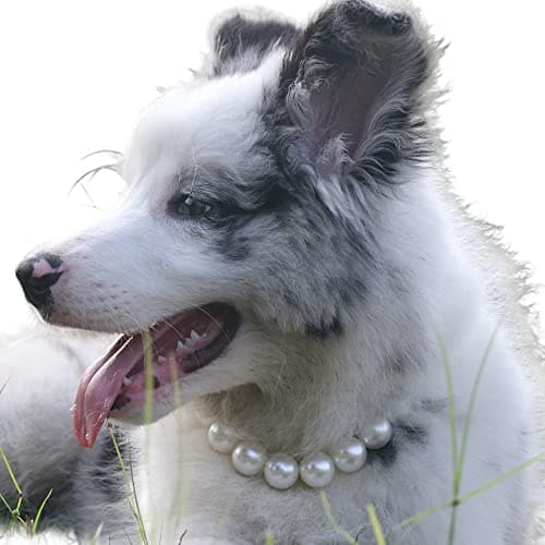 Exquisite and Adjustable Dog Necklace: Elegant Pearl Necklace for Dogs, Occasions and Gatherings (18-21 inches)
