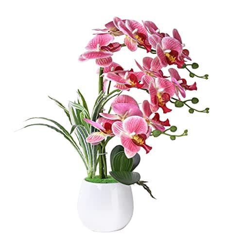 W&W Artificial Orchid Plants and Flowers with Vase, Fake Faux Orchid in Ceramic Pot,19”, Pink