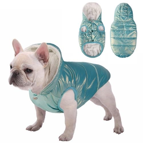 SAWMONG Waterproof Dog Winter Coat, Warm Fleece Lined Dog Jacket with Hood, Windproof Puppy Coat, Pet Apparel Vest Outdoor&Indoor Winter Activities(Mintgreen,XS)