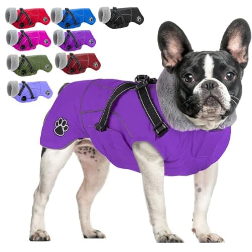 Doglay Dog Jacket Waterproof Dog Coat with Harness Built in, Christmas Puppy Winter Coat Reflective Turtleneck Puffer Snow Jackets for Small Medium Large Dogs