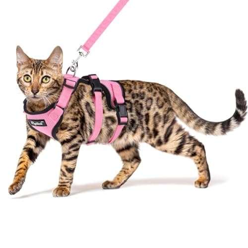 PUPTECK Cat Harness and Leash Set Escape Proof for Walking, Breathable Mash Vest Adjustable Harness for Cats Puppy Small Animals, Reflective at Night, Pink Medium