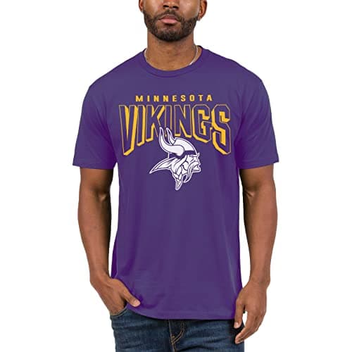 Junk Food NFL - Minnesota Vikings - Bold Logo - Officially Licensed Adult Short Sleeve Fan Tee for Men and Women