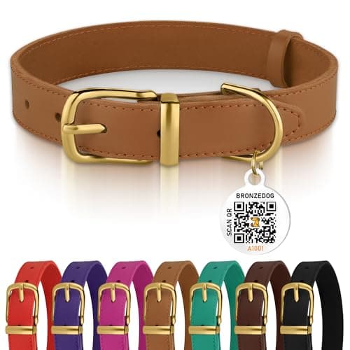 BRONZEDOG Leather Dog Collar with Metal Buckle Durable Basic Pet Collars for Small Medium Large Dogs (13-16 Inch (Pack of 1), Light Brown & Gold Buckle)