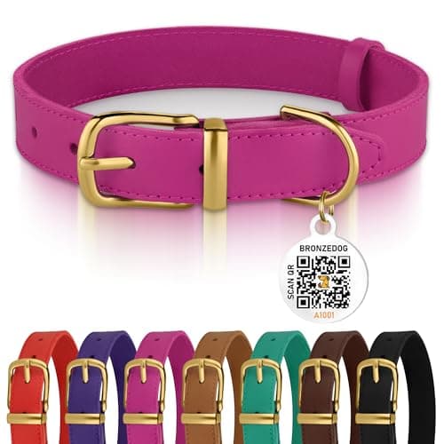 BRONZEDOG Leather Dog Collar with Metal Buckle Durable Basic Pet Collars for Small Medium Large Dogs (19-21 Inch (Pack of 1), Pink & Gold Buckle)