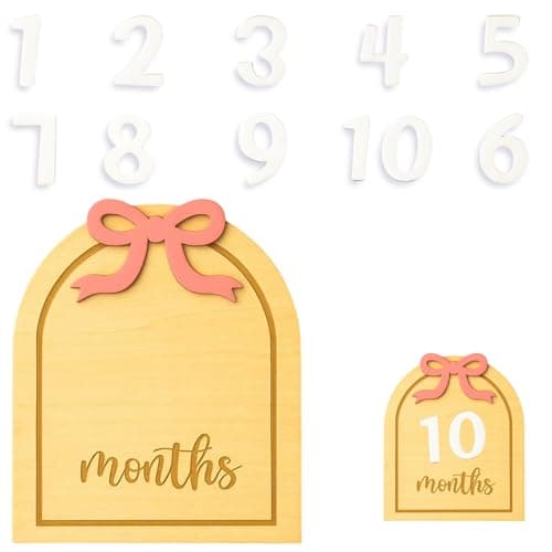 Monthly Milestone Signs, Baby Milestone Signs for 12 Months, Wooden Baby Months Signs, Baby Month Milestone Signs, 1st Birthday Photo Props, Newborn Photography Supplies