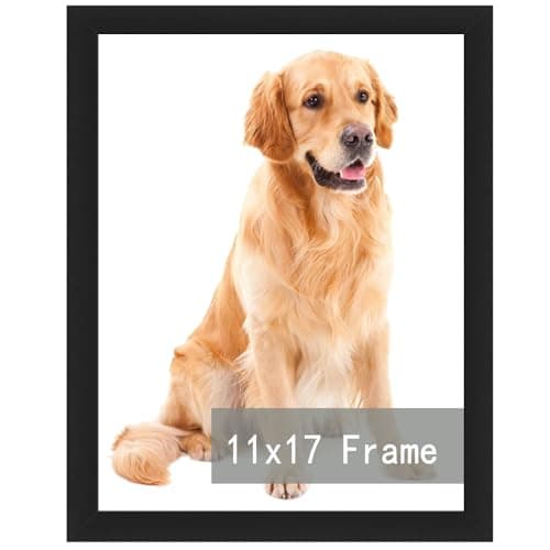 RUN HELIX 11x17 Picture Frame for 11by17 Poster Photo Canvas Certificate Black High Transparent Poster Frame Wall Desktop Horizontal Vertical 11 x 17,Black