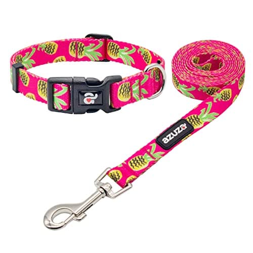 azuza Dog Collar and Leash Set, Pineapple Patterns on Nylon Collars and Matching Leash, Large Dog Collar for Large Dogs