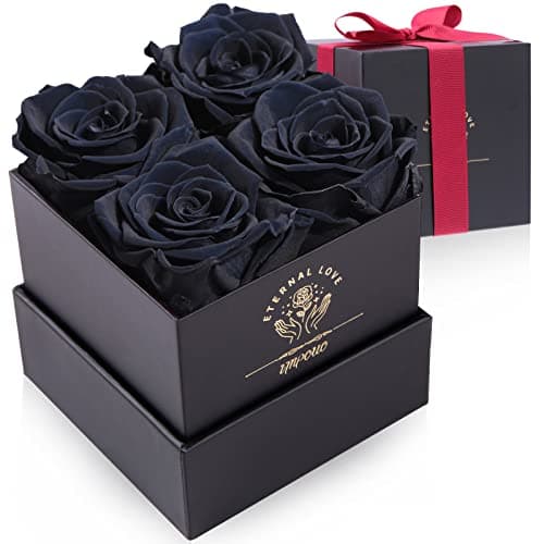 Impouo Preserved Rose,Gifts for Her, Birthday Gifts for Women, Gifts for Mom/Girlfriend/Wife/Grandma Christmas, Birthday, Valentine's Day - Black Rose