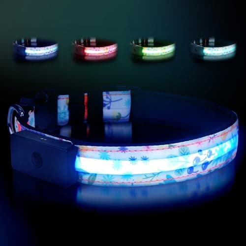 LED Dog Collar - Brightest Light Up Dog Collars - 1,600 Feet of High Visibility - Magnetic Charging - Dog Lights for Night Walking, Flower Large