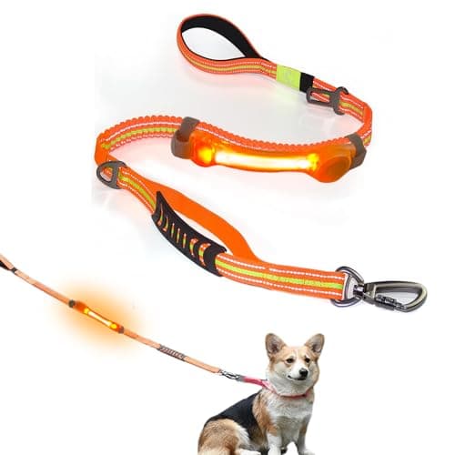 Heavy Duty Dog Leash and LED Light Set, LED Light with Nylon Stickers, Universal Glowing Accessories Easy to Attach Collar Leash and Harness, Safety LED Light Up Band for Dogs at Night Walking