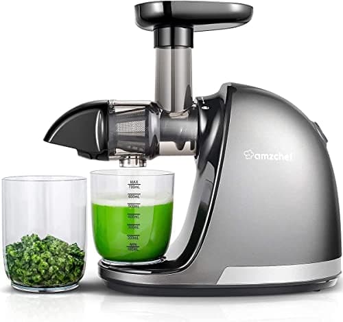 AMZCHEF Cold Press Masticating Juicer Machine - 90% Yield Reverse System, Quiet Motor for Home & Breakfast, 3-Step Clean with Brush, Includes 50+ Juice Recipes, Silver Grey