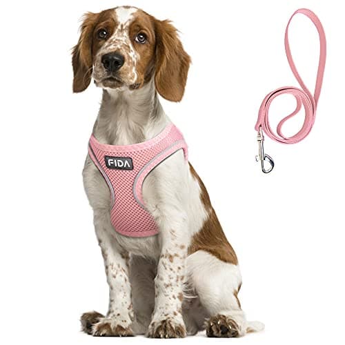 Fida Comfy Dog Harness with Leash, Soft Puppy Vest Escape Proof, Breathable Lightweight Soft Mesh, Adjustable Reflective Step-in Harness for Medium & Large Pet Walking (XL, Pink)