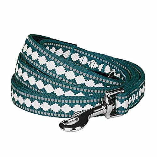 Blueberry Pet 3M Reflective Jacquard Dog Leash with Soft & Comfortable Handle, 4 ft x 1", Teal Blue, Large, Leashes for Dogs