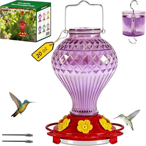 Glass Hummingbird Feeder for Outdoors Hanging, 20 oz Nectar Capacity, 6 Feeding Ports, Leak-Proof Rust-Free Plastic Base, Easy to Refill & Clean, Decorative Purple Glass Bird Feeder for Garden Patio