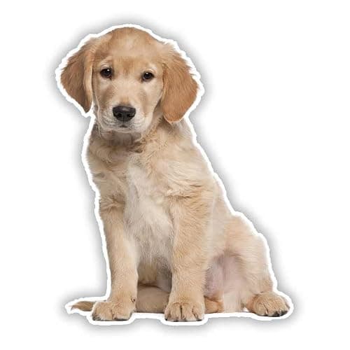 2PCS Golden Retriever Vinyl Car Decal 4.72"x5.91", Loyal Family Dog Sticker for Car, Refrigerator, Waterproof Pet Decor |#DK234