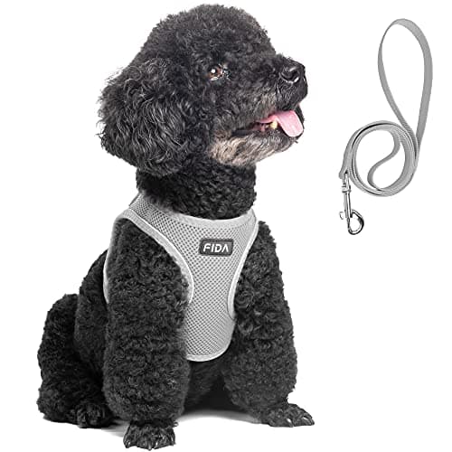 Fida Comfy Dog Harness with Leash, Soft Puppy Vest Escape Proof, Breathable Lightweight Soft Mesh, Adjustable Reflective Step-in Harness for Small & Medium Pet Walking (M, Grey)