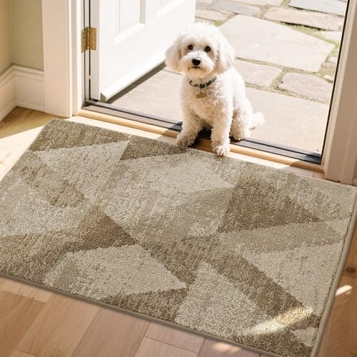 COSY HOMEER Entryway Rugs Doormat 24"x36", Non-Slip Absorbent Polyester, Washable Rugs for Front Door, Dirty Paws & High Traffic Areas, Beige