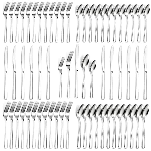 Bestdin 60 PCS Silverware Sets - Mirror Polished Flatware Set for 12, Including Knives, Spoons and Forks, Cutlery Set, Dishwasher Safe & Stainless Steel Silverware for Wedding Gift, Home & Party Use